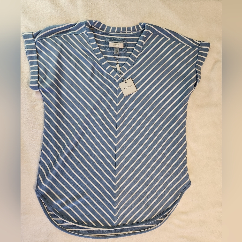 NWT Cupio Blush Size Small Striped V-Neck Shirt chevron pattern